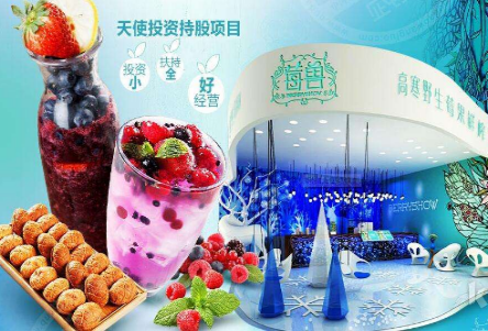 杭州莓兽饮品加盟如何