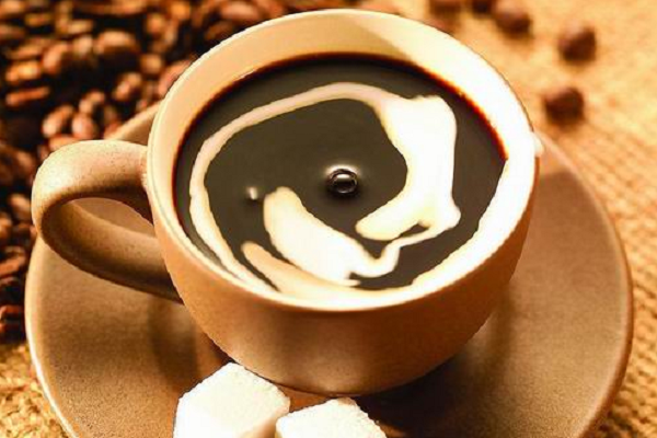 麝香猫咖啡加盟条件是什么