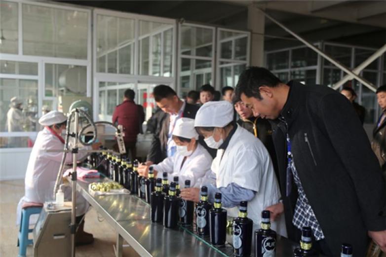 藏泉青稞酒加盟