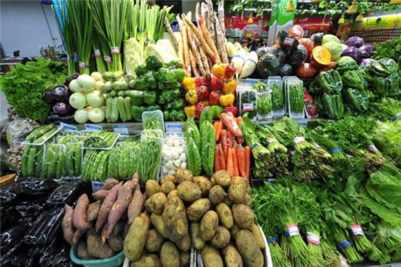 粤康蔬菜生化食品加盟