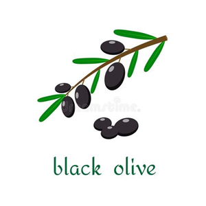 黑橄榄