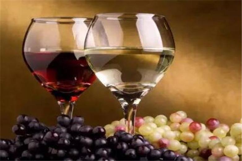 西拉干红葡萄酒加盟