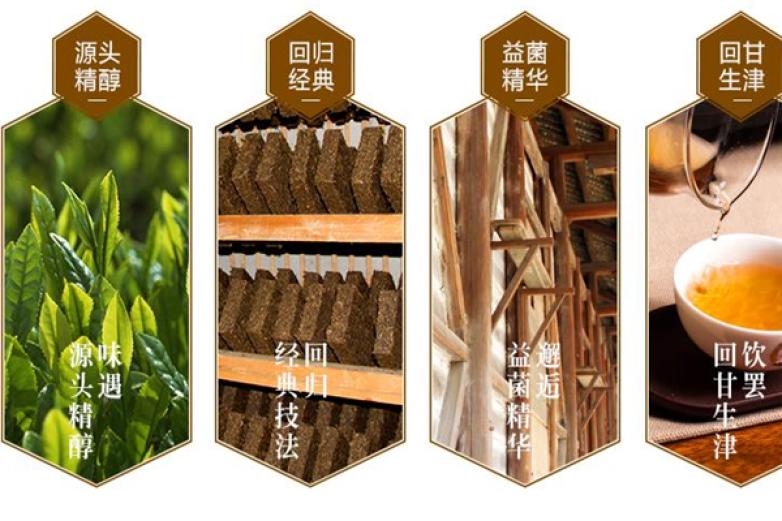 百年木仓生态黑茶加盟