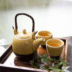 茶树林
