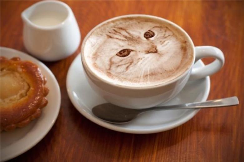 上海猫咪咖啡馆加盟