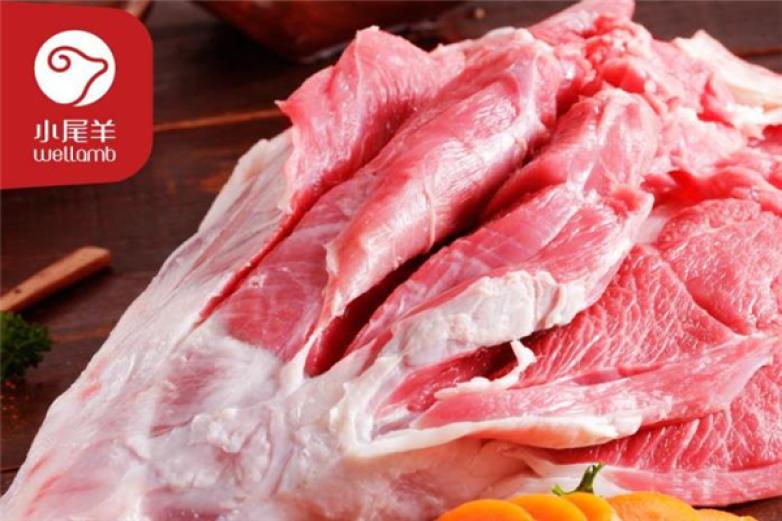 内蒙古小尾羊加盟