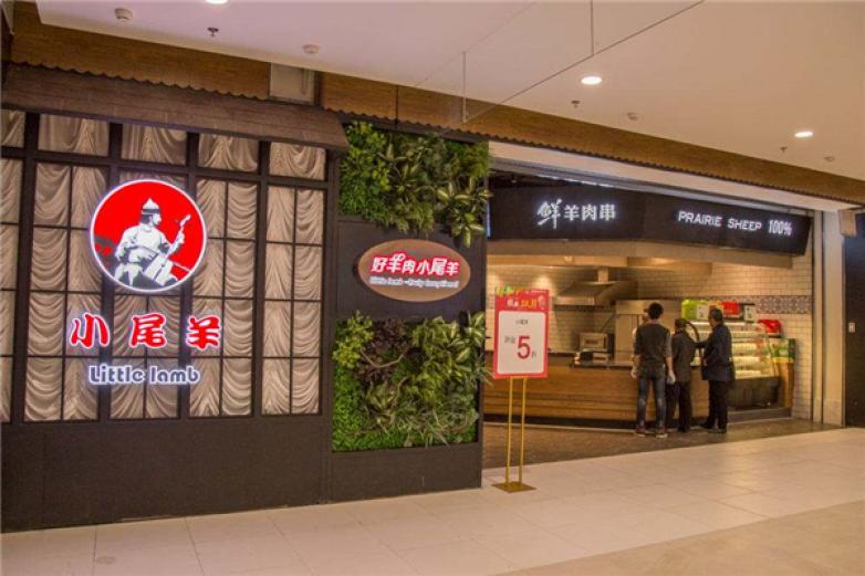 内蒙古小尾羊加盟