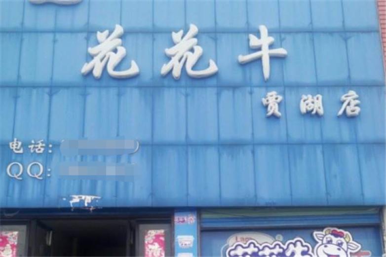 花花牛纯牛奶加盟