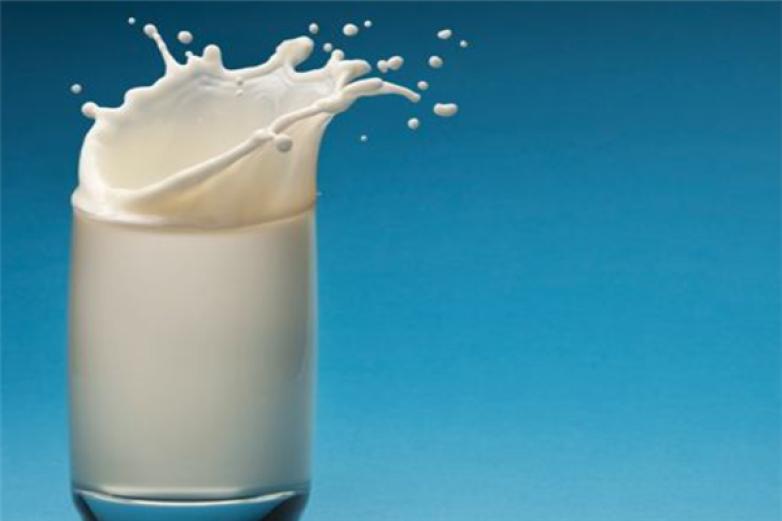  上质纯牛奶加盟