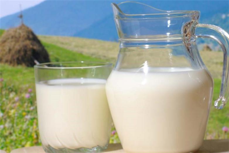 心乐牛奶饮品加盟