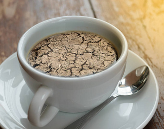 土壤咖啡