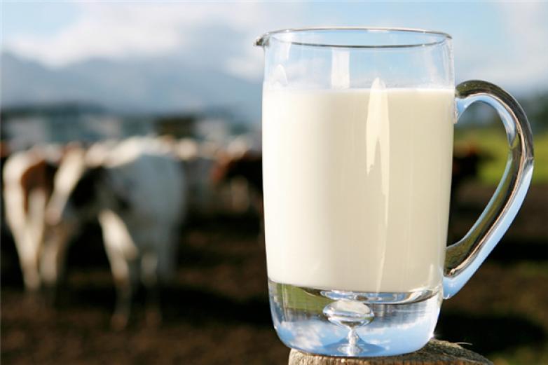 多鲜牛奶加盟