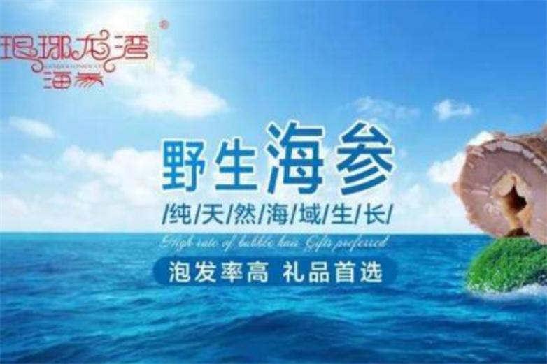 琅琊龙湾海参加盟