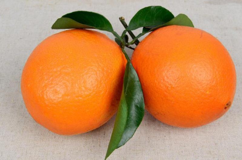 橙心甜橙加盟