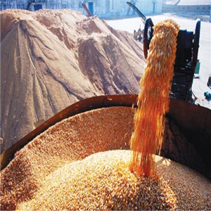 大糧米業
